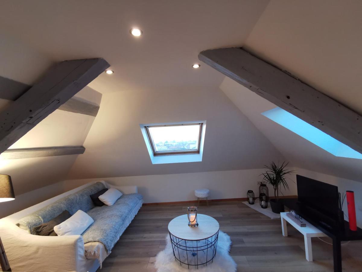 Cosy Chic Lägenhet Erstein Exteriör bild